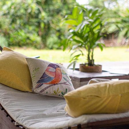 Popone Farm & Lodge Guápiles Екстериор снимка