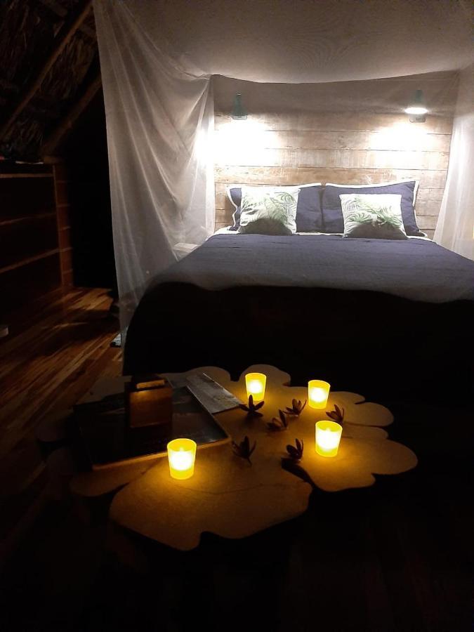 Popone Farm & Lodge Guápiles Екстериор снимка